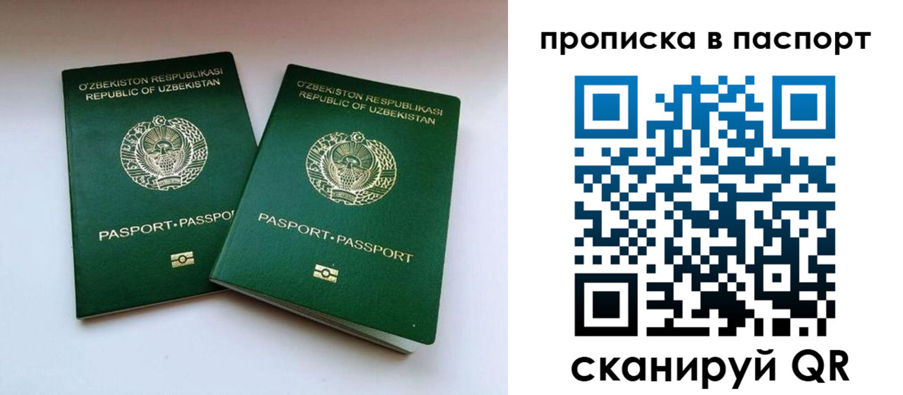 временная регистрация в Почепе